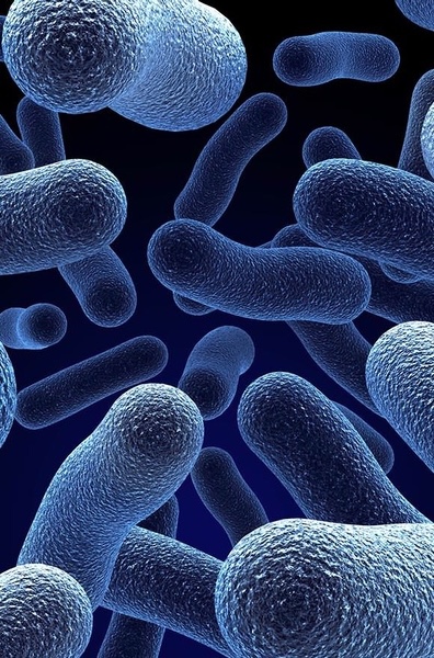 Mantenimiento de la Legionella para Empresas